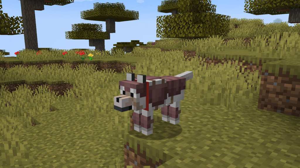 A wolf wearing wolf armor in the Minecraft video game