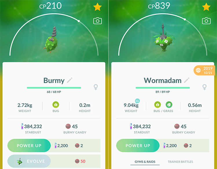 Wormadam (Pokémon) - Bulbapedia, the community-driven Pokémon