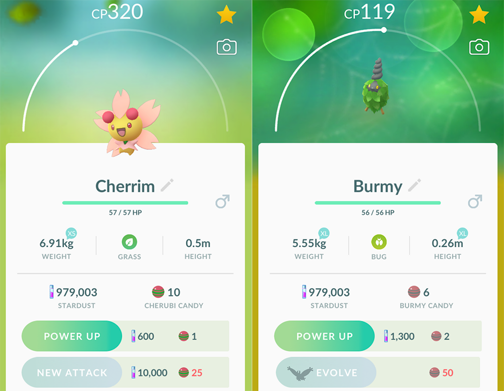Cherubi - How to Get and Location, Evolution, and Research Tasks