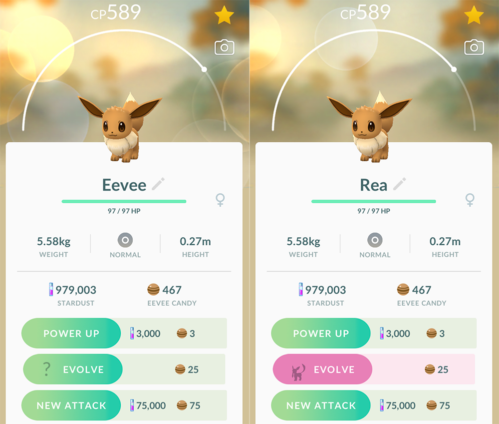 Pokemon Go: How to Evolve Eevee Into Glaceon « SuperParent