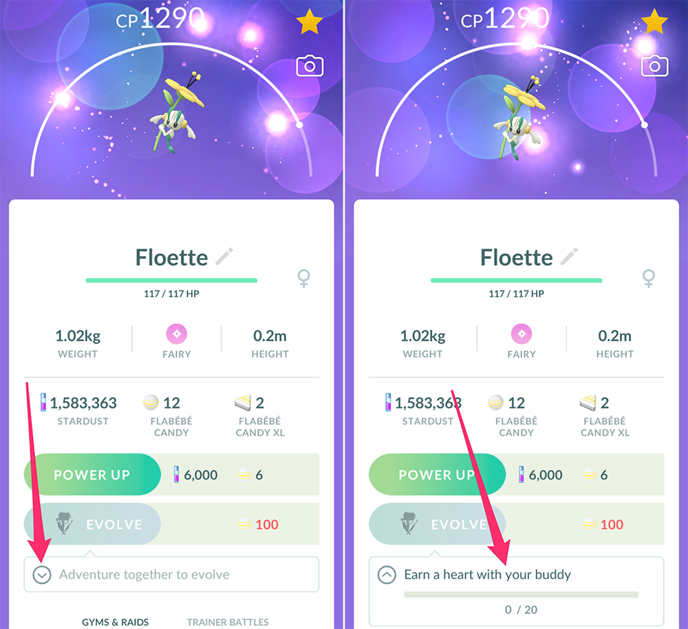 Floette evolution guide