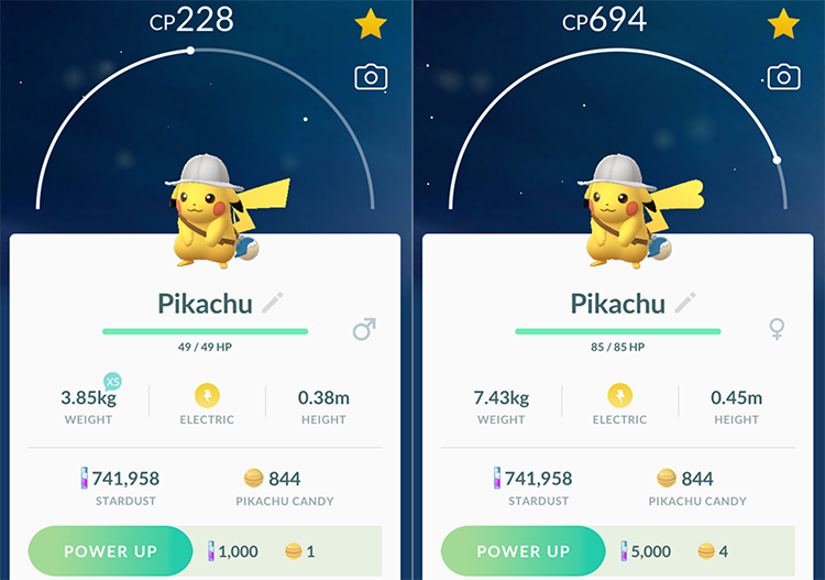 Shiny Pikachu (explorer)