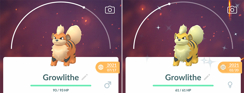 Is Growlithe Shiny in Pokémon Go? - Polygon