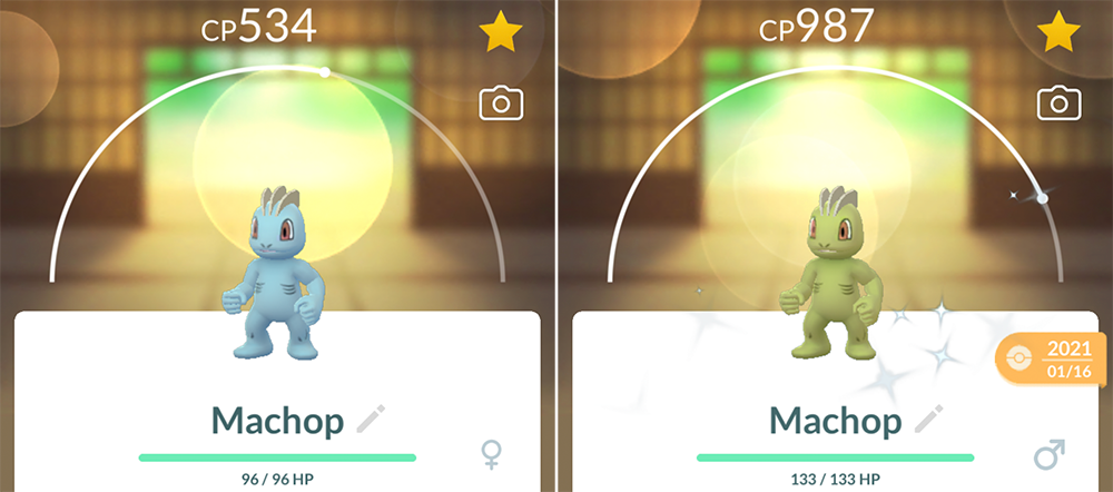 Poké Spotlight: Getting To Know Machop Outside Of Pokémon GO