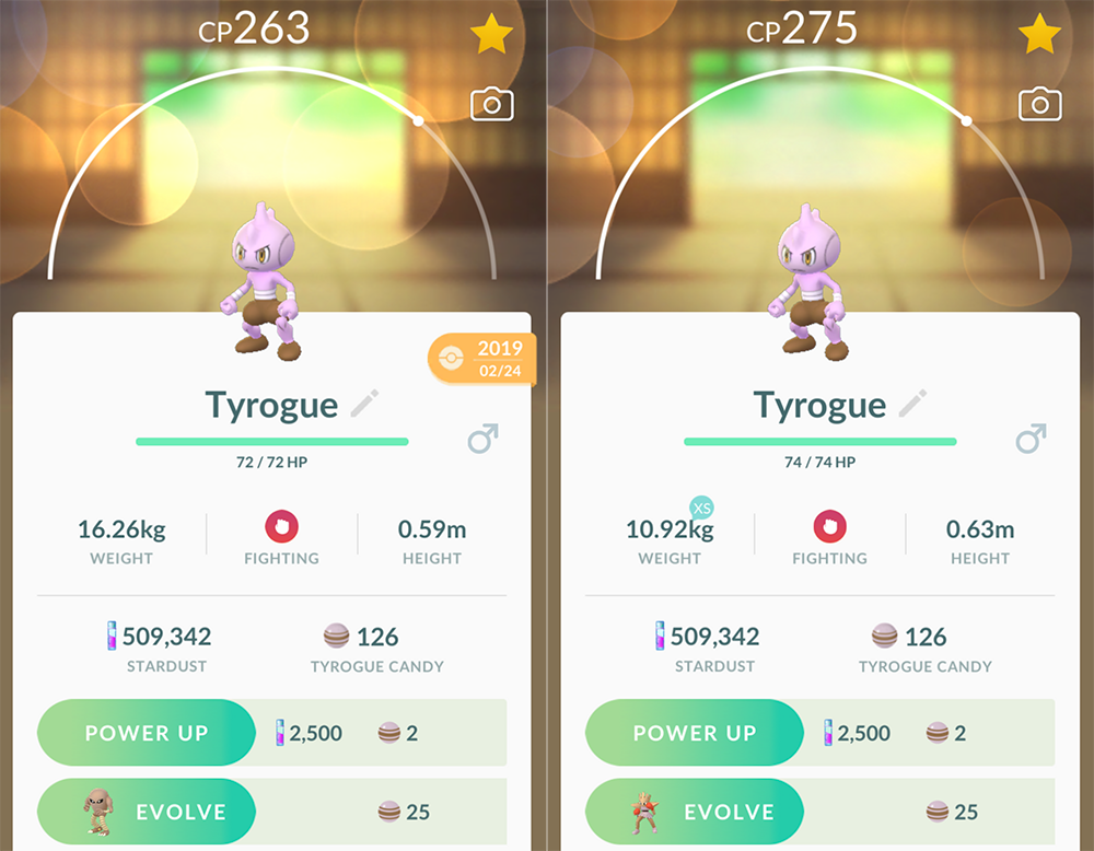 Pokémon GO – Evolução Tyrogue – O Andarilho Pokémon
