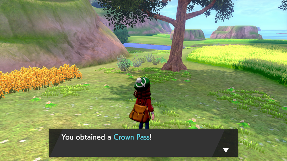 How to start Pokémon Sword and Shield's Crown Tundra expansion